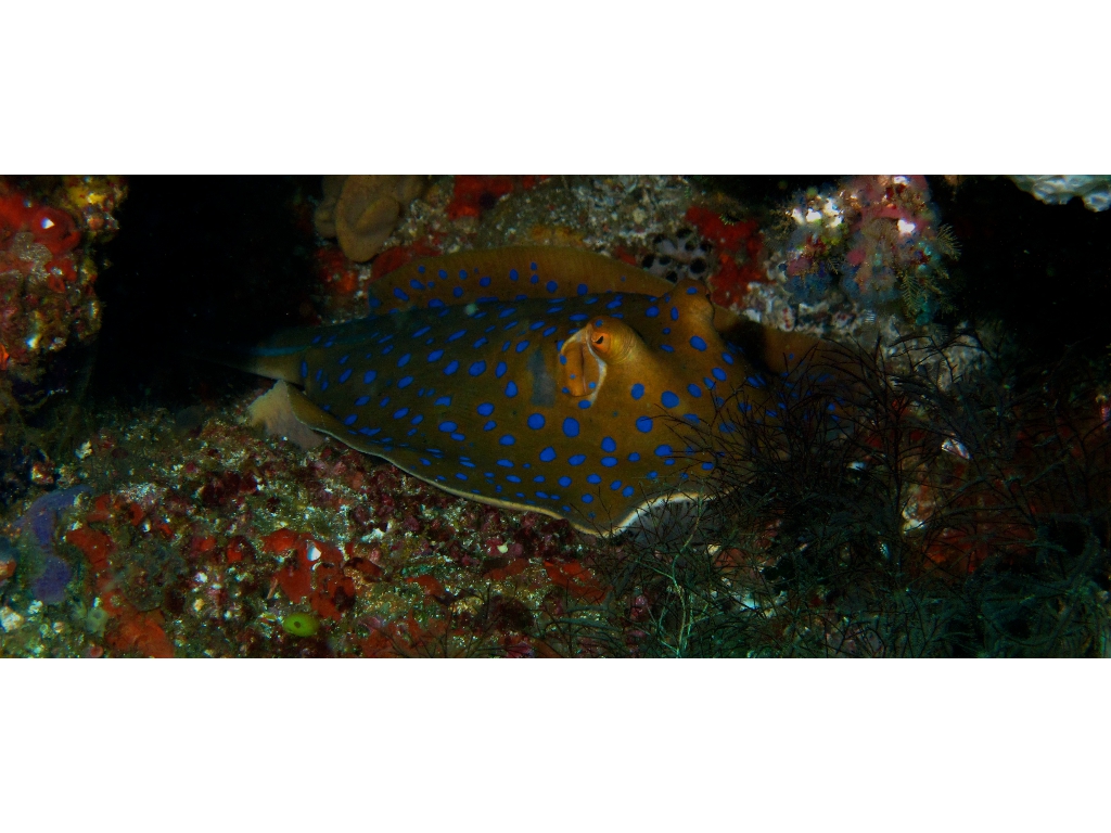 IMG_6736 (1) IMG_6736 (1)